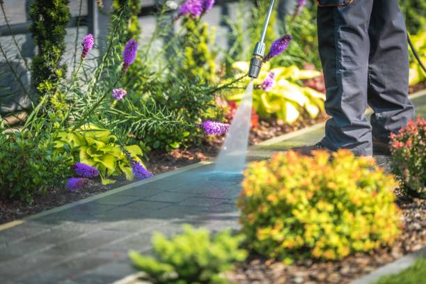 Best Winterizing Services  in Nixon, PA